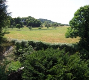 Depuis la fenêtre d'une chambre